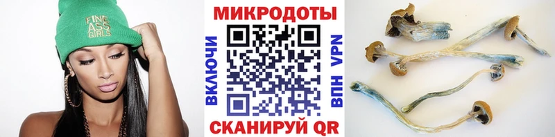 купить наркотики цена ОМГ ОМГ ONION Псилоцибиновые грибы MAGIC MUSHROOMS Ипатово